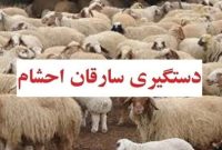 دستگیری سارقان احشام در ملکان 